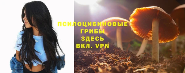 амф Балахна