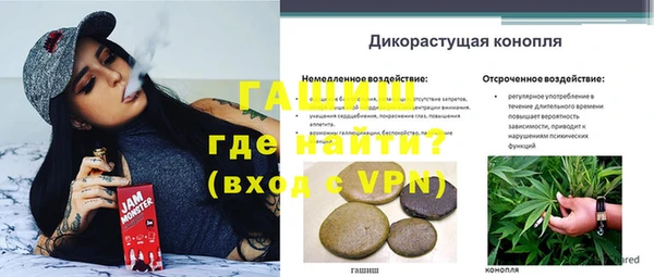 амф Балахна