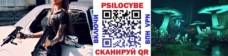 ОМГ ОМГ ONION  купить наркотик  Лермонтов  Галлюциногенные грибы Magic Shrooms 